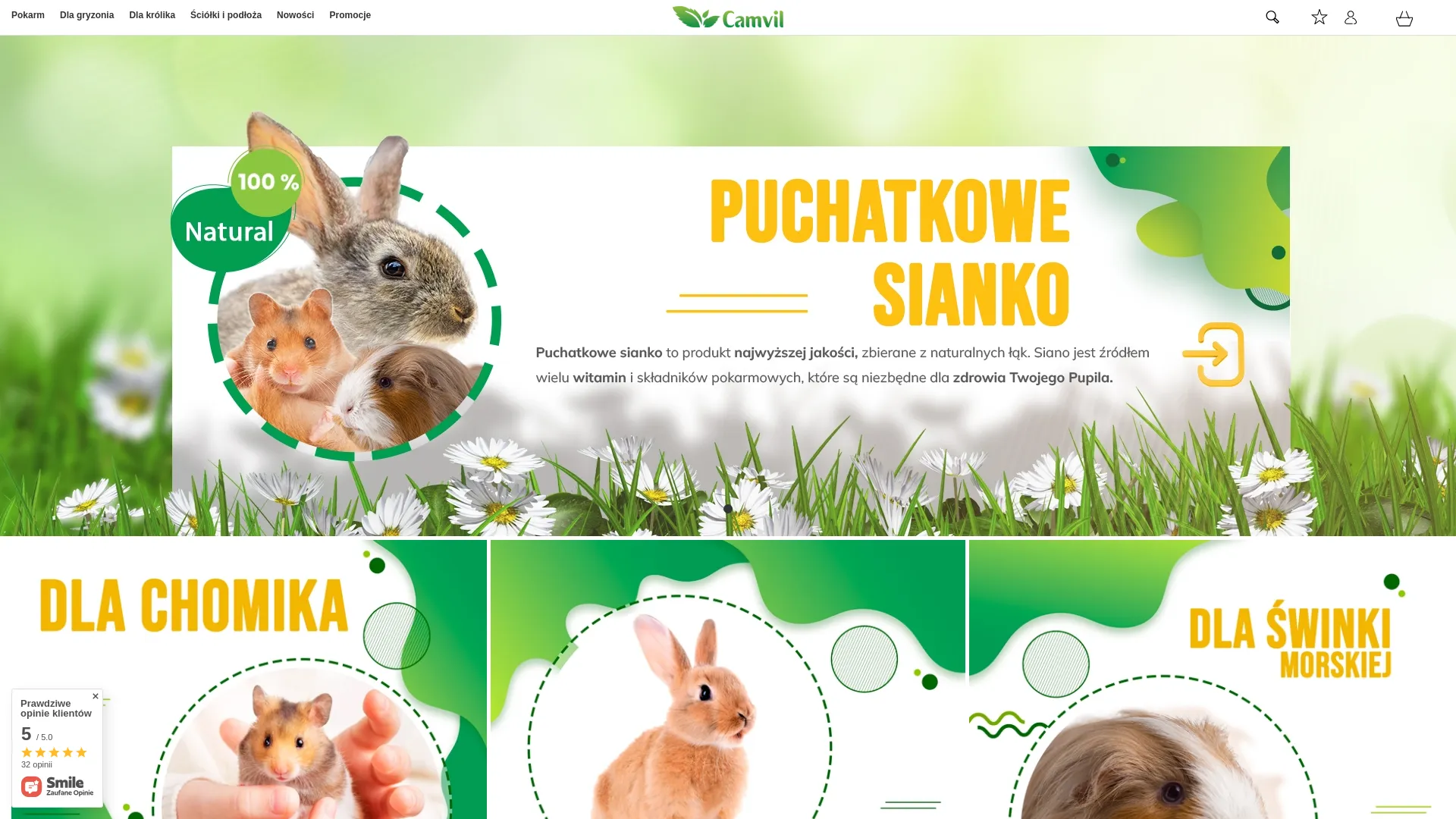Zrzut ekranu strony Equiart