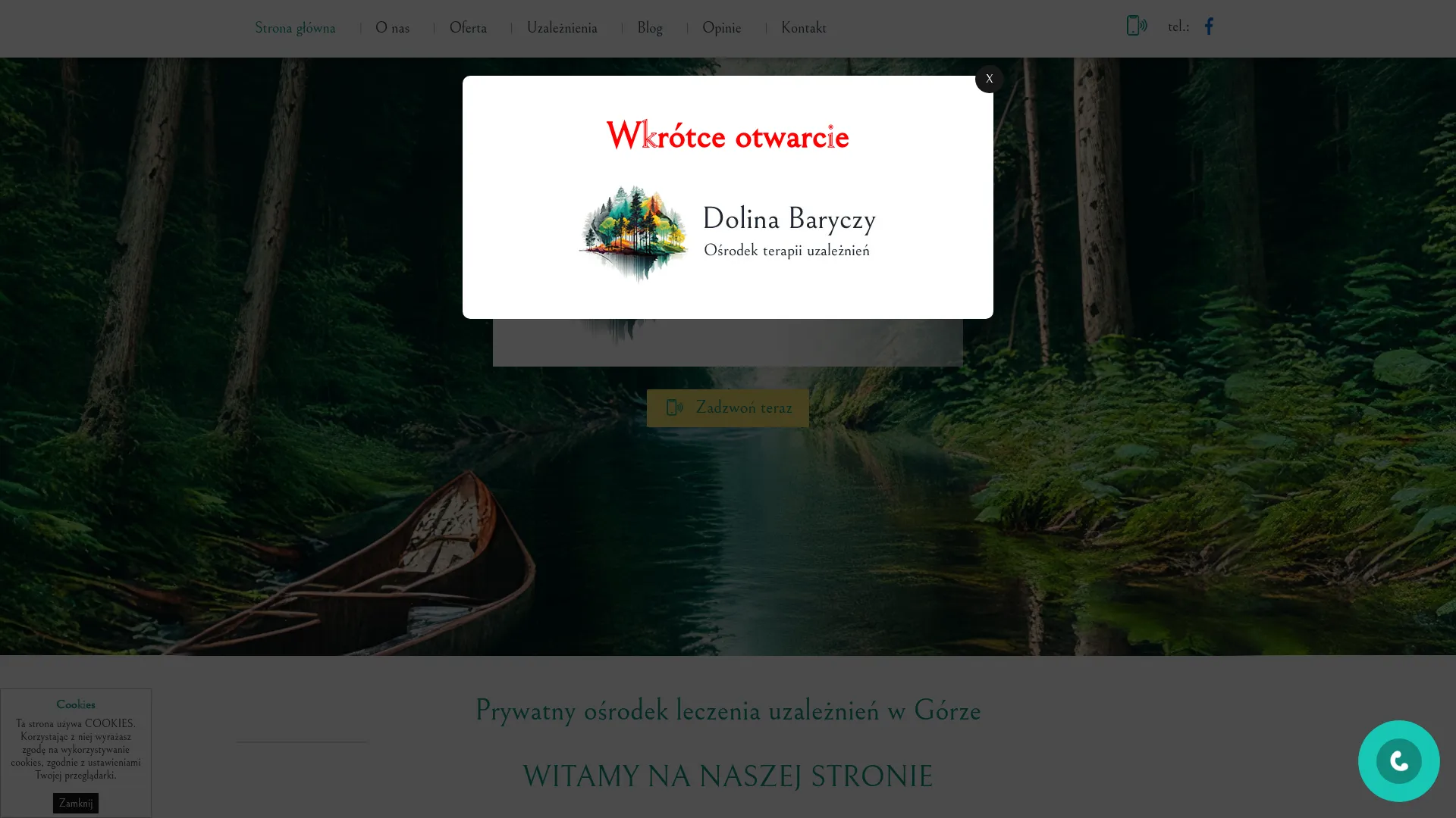 Zrzut ekranu strony Ośrodek Terapii Uzależnień Dolina Baryczy